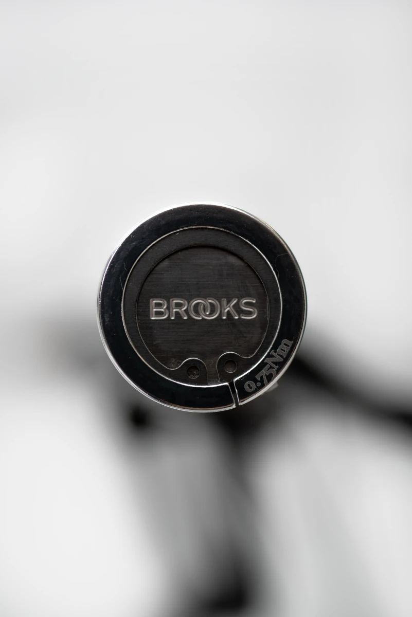 Pony Brooks, slike v galeriji